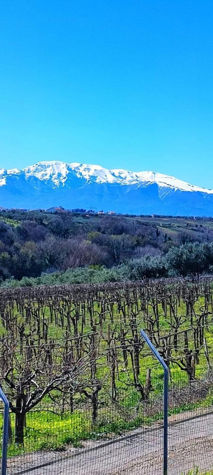 La Finestra D'Abruzzo Daire Ortona Dış mekan fotoğraf